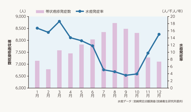 月別の累計帯状疱疹発症数及び水痘発症率