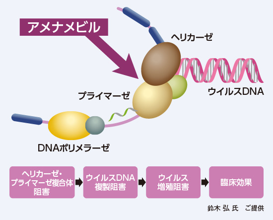 アメナメビルの作用機序