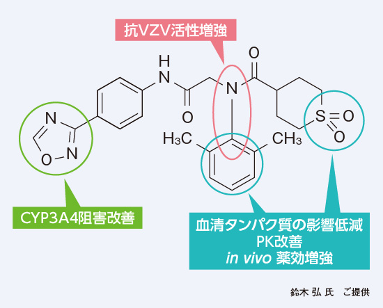 アメナメビルの置換基と活性プロファイル