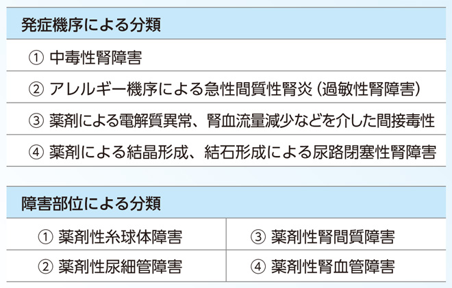 薬剤性腎障害の分類