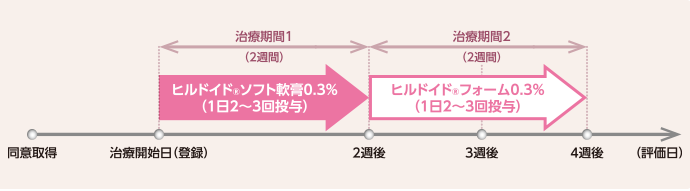 図：スケジュール