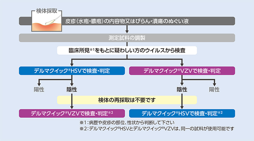 デルマクイックHSV及びデルマクイックVZV連続使用フローチャート