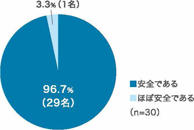 安全性の評価（皮膚科医師による判定）