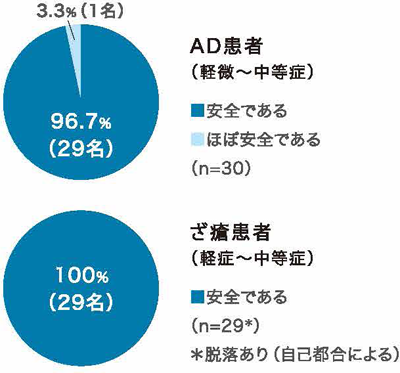 安全性の評価（皮膚科医師による判定）