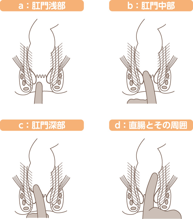 指診の基本手技