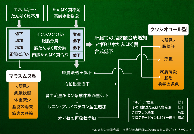 図4:低栄養の発生要因