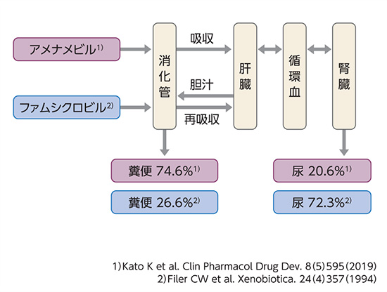 アメナメビルとファムシクロビルの糞便中/尿中排泄率