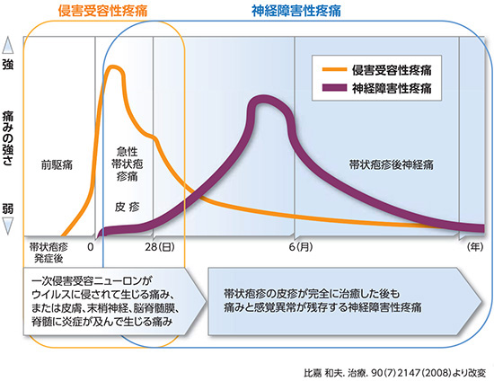 ZAPの臨床経過