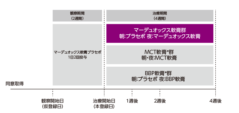 試験デザイン