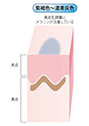紫褐色〜濃青灰色