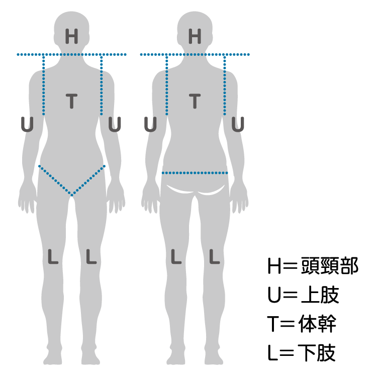 体の部位