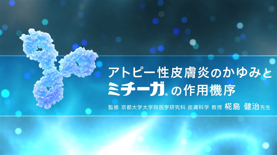 アトピー性皮膚炎のかゆみとミチーガの作用機序