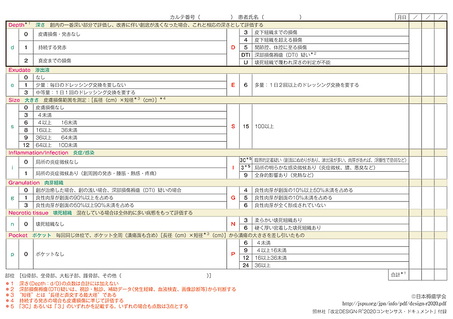 DESIGN-R®2020 褥瘡経過評価用