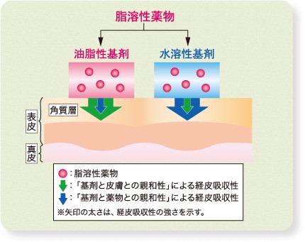 ぬり薬の蘊蓄 Vol 1 外用剤における基剤と剤形の重要性について 主薬の経皮吸収性に対する基剤の影響 マルホ 医療関係者向けサイト