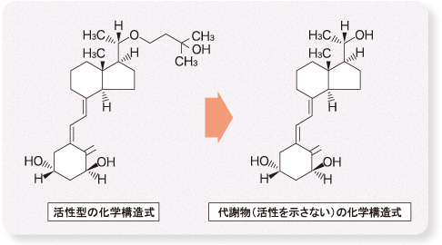 図7:活性型ビタミンD3(マキサカルシトール)の皮膚での代謝
