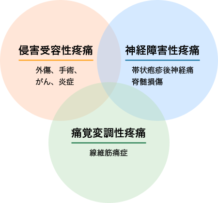 発生機序による疼痛の分類