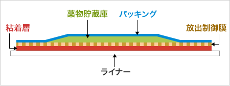 図2　放出制御膜を有した製剤の構造