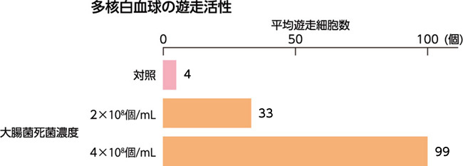 図10. 白血球遊走能促進作用