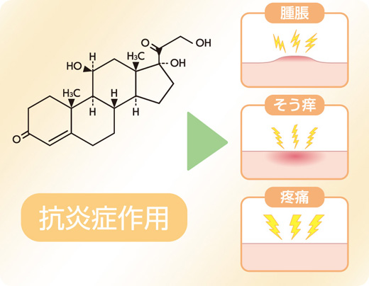 図14. ヒドロコルチゾンの薬理作用とその臨床的効果