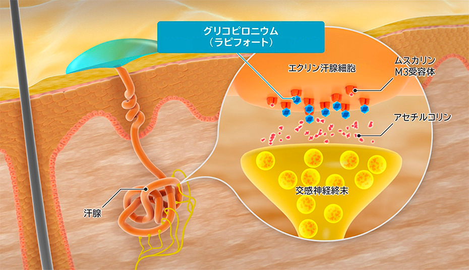 作用機序