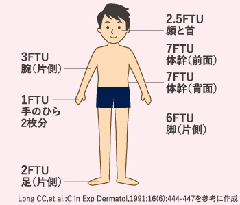 FTUの部位別目安（成人の場合）