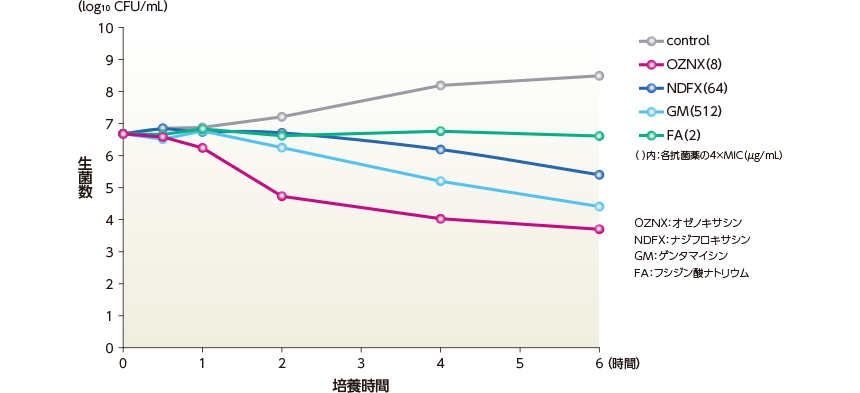 MRSA株に対するオゼノキサシンの殺菌作用