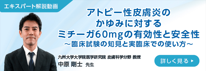 アトピー性皮膚炎のかゆみに対するミチーガ60mgの有効性と安全性～臨床試験の知見と実臨床での使い方～