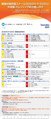 （ポケット版）褥瘡状態判定スケール