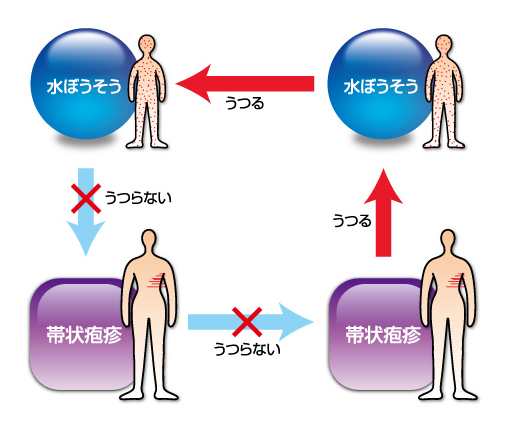 帯状疱疹は人にうつるの?