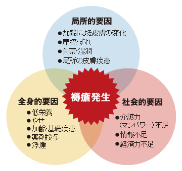 図:褥瘡発生の間接的要因