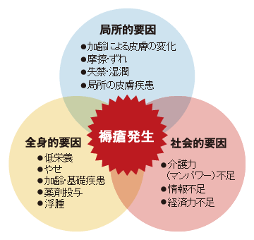 図：褥瘡発生の間接的要因