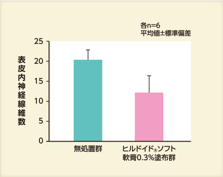 表皮内神経線維数