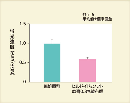 NGF発現量