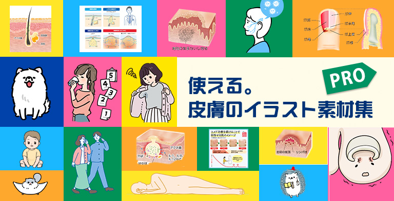 使える。皮膚のイラスト素材集 Pro