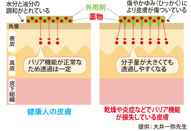 図3：皮膚状態と経皮吸収