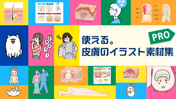 使える。皮膚のイラスト素材集 Pro