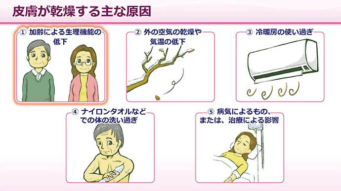 高齢者の皮膚の特徴と乾燥の原因