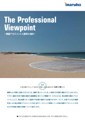(冊子)The Professional Viewpoint-褥瘡アセスメントと基剤の選択-
